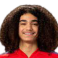 https://img.taihjg.com/img/football/player/87359ed9061cfd73513d827263deebcd.png