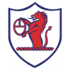 https://img.taihjg.com/img/football/team/11fb72f7b5eacfc881ee11bac75871fa.png