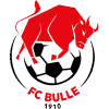 https://img.taihjg.com/img/football/team/b201265fa89720bf8cd8ef95549a4738.png